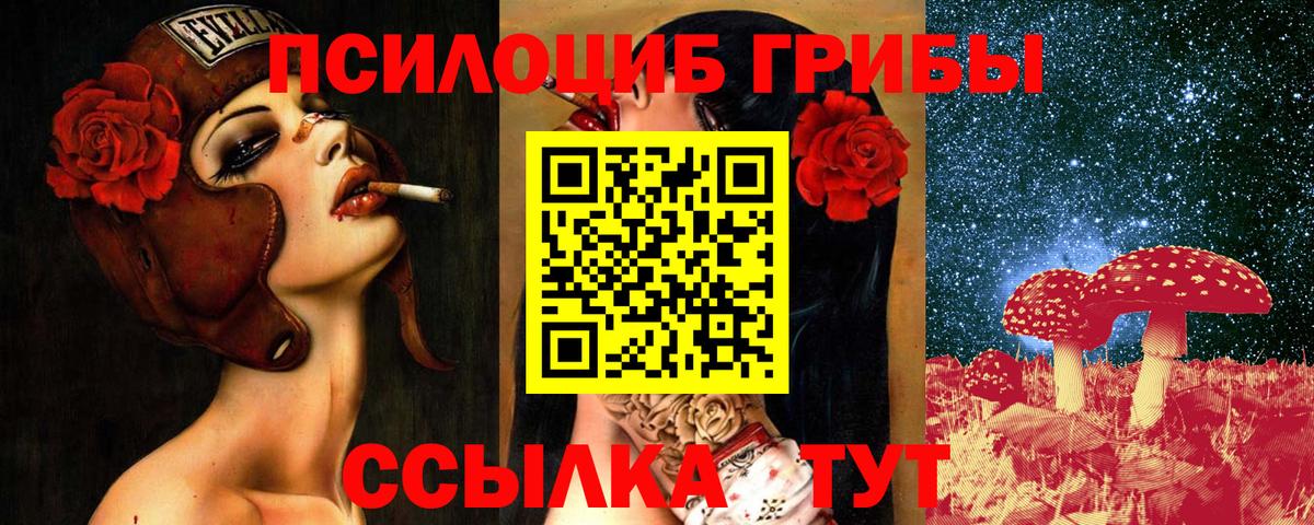 Псилоцибиновые грибы Psilocybine cubensis Осинники